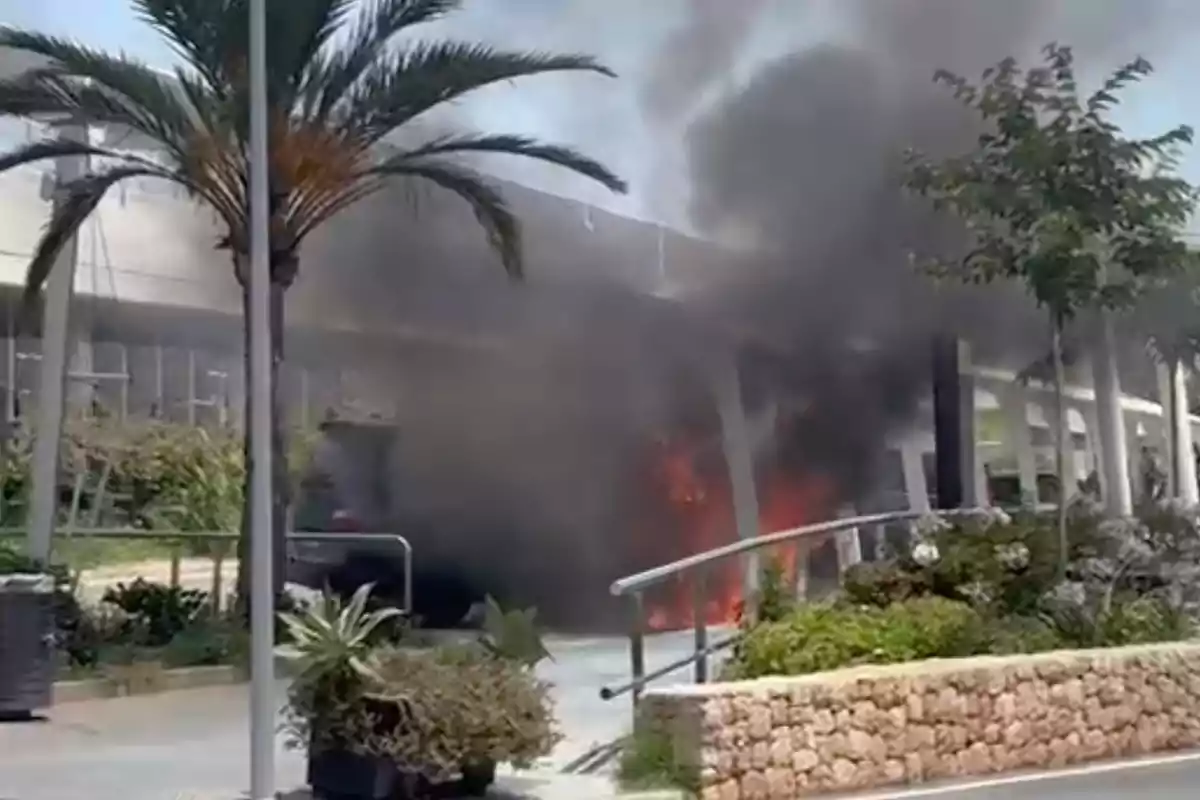 Incendio en la entrada de un edificio moderno rodeado de plantas y palmeras con humo negro saliendo hacia el cielo Incendio en la entrada de un edificio moderno rodeado de plantas y palmeras con humo negro saliendo hacia el cielo