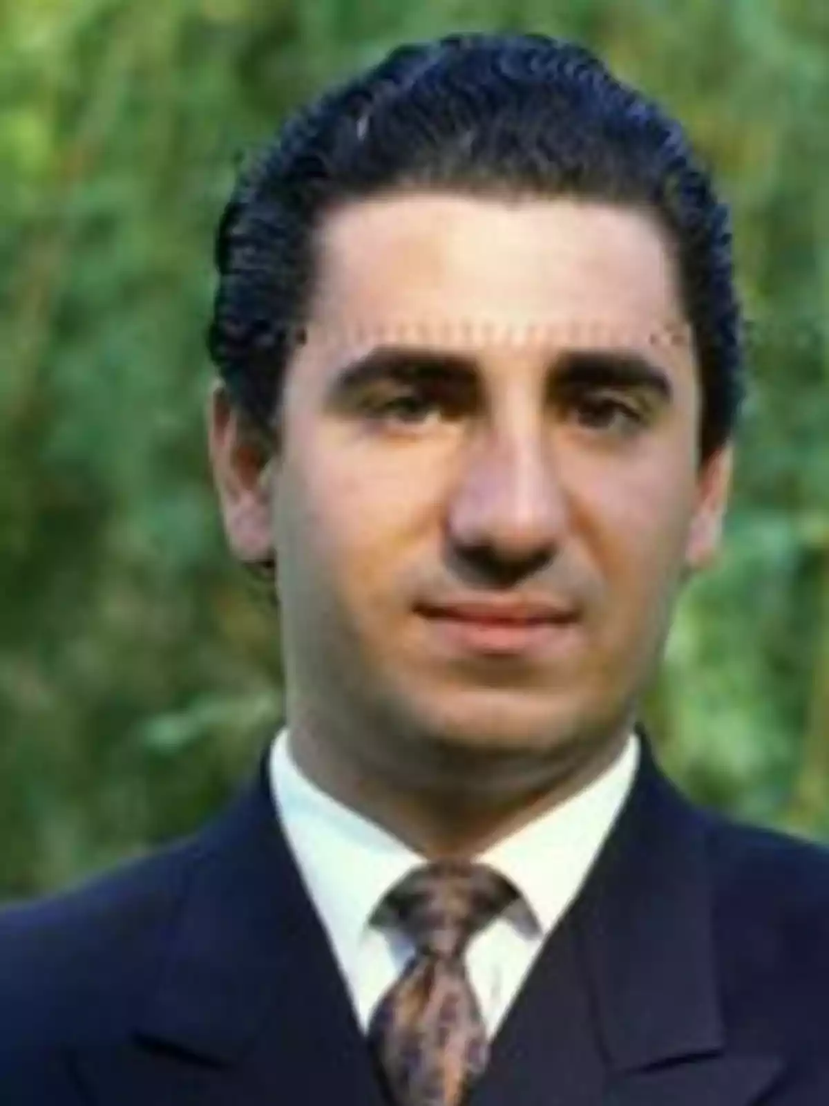Hombre de cabello oscuro y peinado hacia atrás vistiendo traje y corbata con fondo de vegetación desenfocada Hombre de cabello oscuro y peinado hacia atrás vistiendo traje y corbata con fondo de vegetación desenfocada