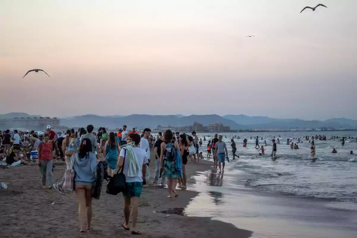 Playa llena de personas disfrutando del mar al atardecer con montañas al fondo y gaviotas volando en el cielo Playa llena de personas disfrutando del mar al atardecer con montañas al fondo y gaviotas volando en el cielo