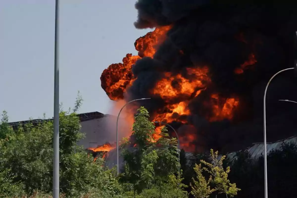 Incendio de gran magnitud en un edificio industrial con llamas intensas y una densa columna de humo negro elevándose al cielo rodeado de vegetación y postes de luz Incendio de gran magnitud en un edificio industrial con llamas intensas y una densa columna de humo negro elevándose al cielo rodeado de vegetación y postes de luz