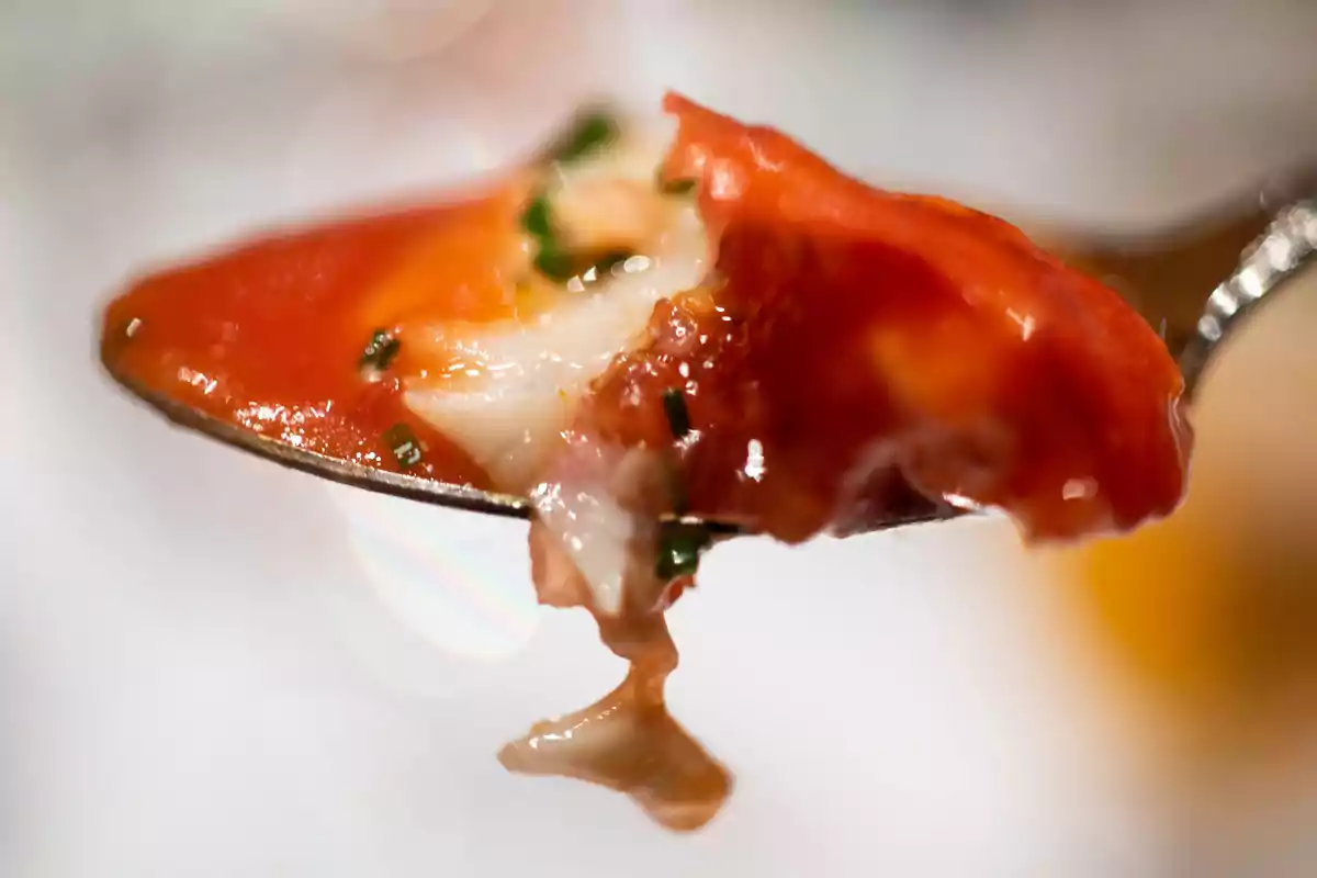 Cuchara con salsa de tomate y trozos de queso derretido decorada con hierbas Cuchara con salsa de tomate y trozos de queso derretido decorada con hierbas