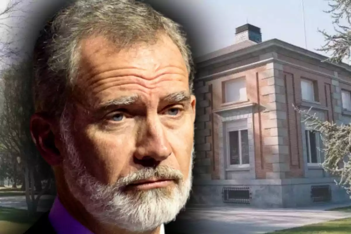 Primer plano de Felipe VI con barba canosa y con expresión seria y, al fondo, una imagen del palacio de la Zarzuela.