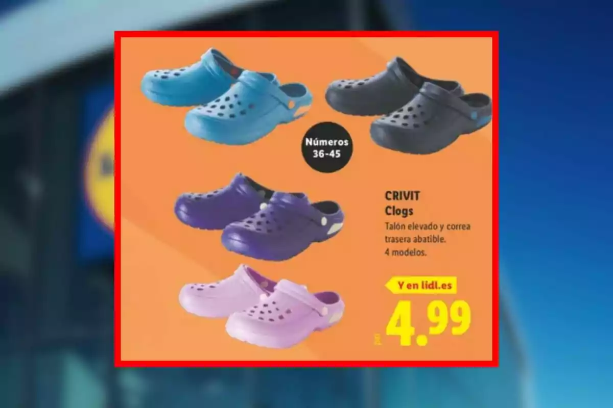 Oferta de zuecos tipo Crocs en colores azul, negro, morado y lila con tallas del 36 al 45 a un precio de 4,99 euros en Lidl. Oferta de zuecos tipo Crocs en colores azul, negro, morado y lila con tallas del 36 al 45 a un precio de 4,99 euros en Lidl.