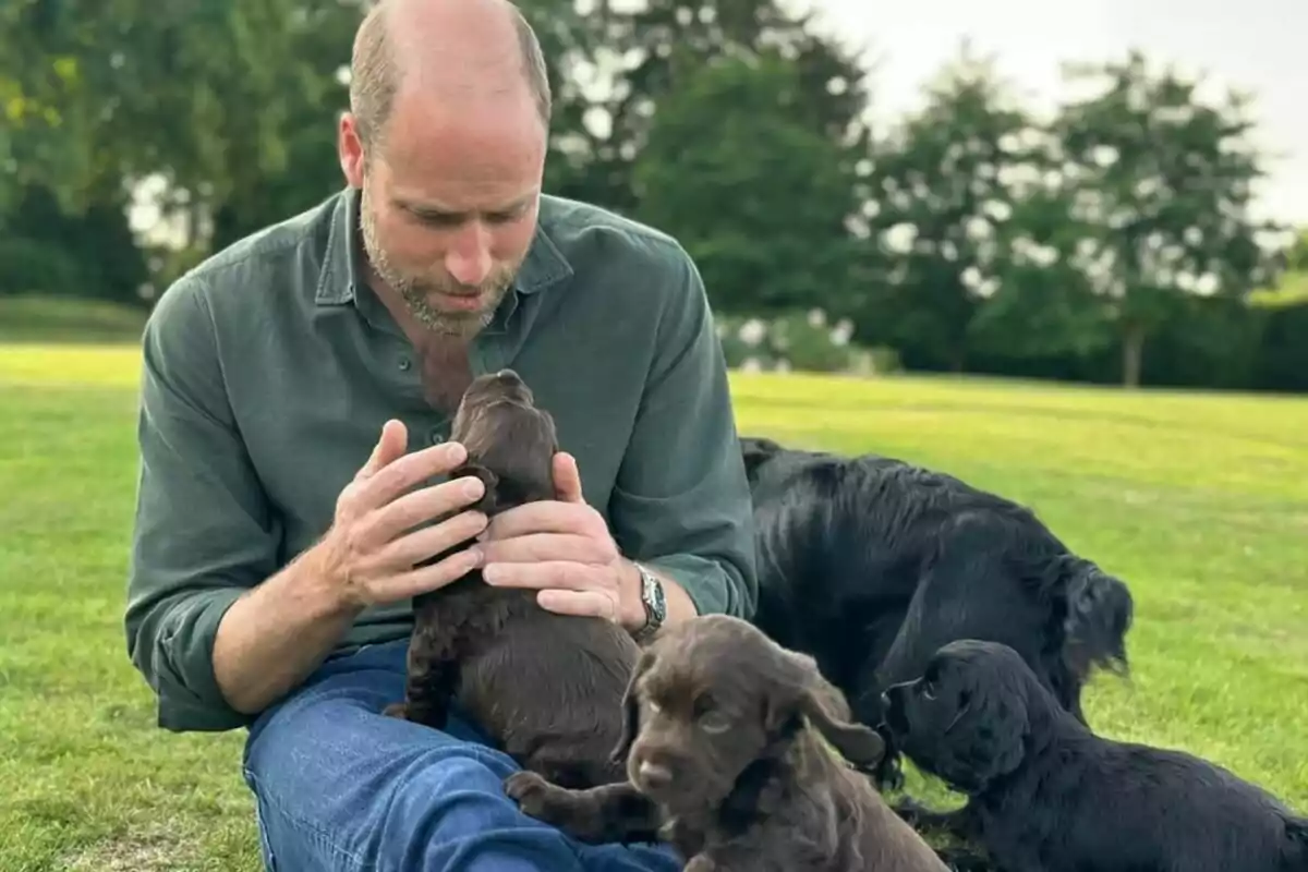 El príncipe Guillermo sentado en el césped acariciando a un cachorro marrón mientras otros perros juegan a su alrededor en un parque. El príncipe Guillermo sentado en el césped acariciando a un cachorro marrón mientras otros perros juegan a su alrededor en un parque.