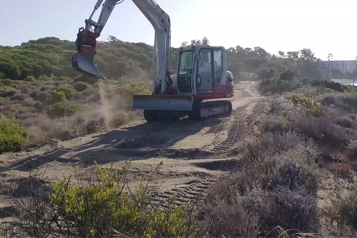 Excavadora trabajando en un terreno arenoso rodeado de vegetación baja y arbustos Excavadora trabajando en un terreno arenoso rodeado de vegetación baja y arbustos