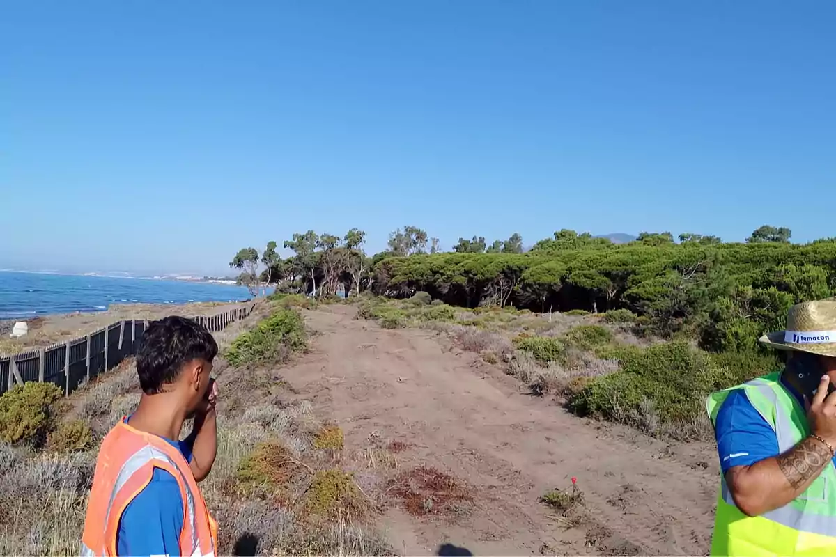Dos personas con chalecos de seguridad y cascos hablan por teléfono cerca de un sendero de tierra junto al mar y un área boscosa Dos personas con chalecos de seguridad y cascos hablan por teléfono cerca de un sendero de tierra junto al mar y un área boscosa
