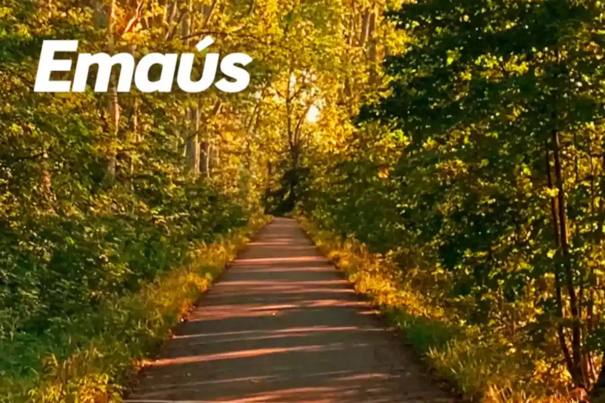 Camino rodeado de árboles verdes y amarillos con la palabra Emaús en la esquina superior izquierda Camino rodeado de árboles verdes y amarillos con la palabra Emaús en la esquina superior izquierda