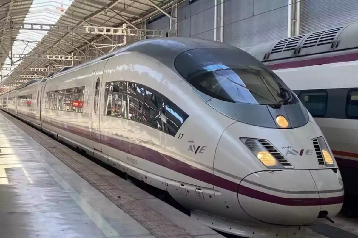 Tren de alta velocidad AVE estacionado en una plataforma cubierta de una estación ferroviaria