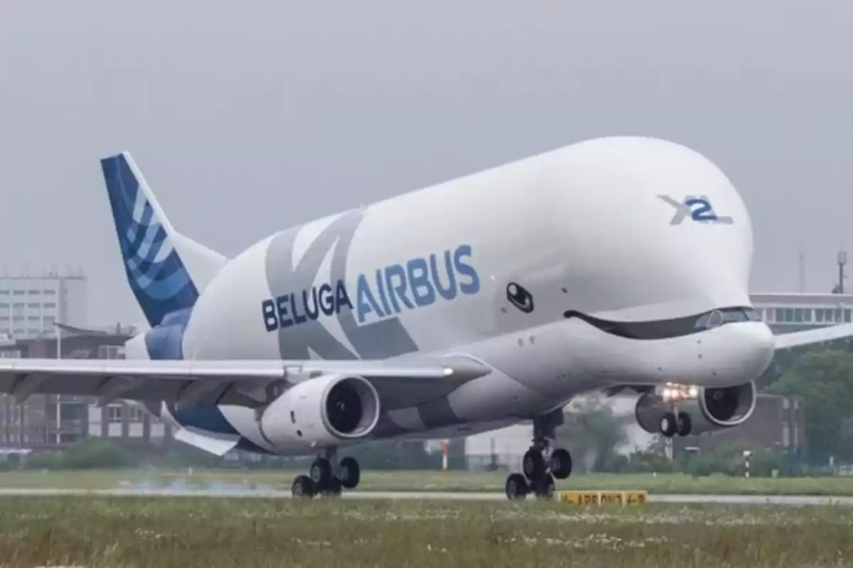 Avión Airbus Beluga aterrizando en una pista con un diseño que simula la cara de una ballena beluga