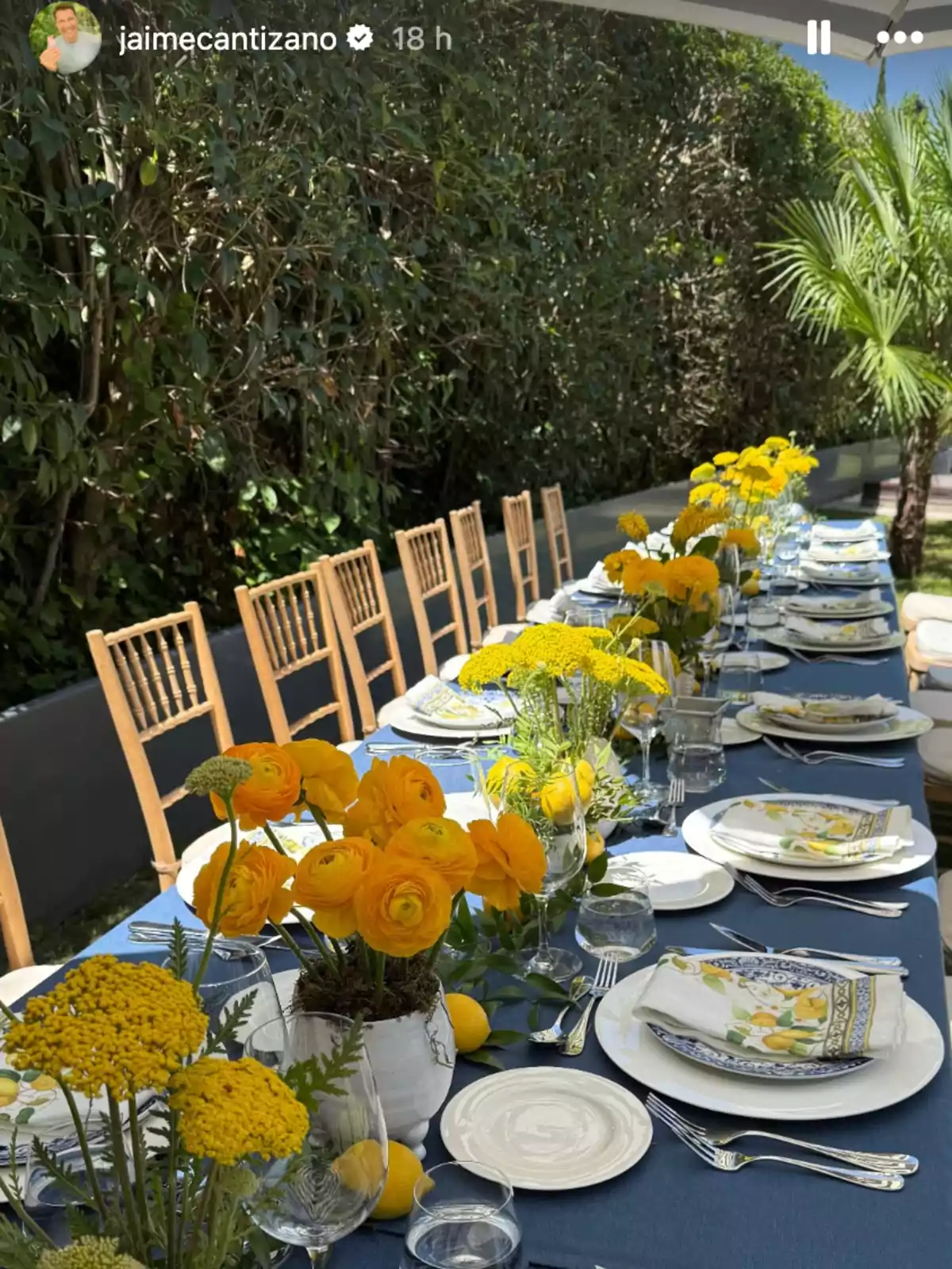 Mesa larga al aire libre decorada con mantel azul, platos blancos, servilletas estampadas y centros de mesa con flores amarillas y limones, rodeada de sillas de madera y vegetación de fondo Mesa larga al aire libre decorada con mantel azul, platos blancos, servilletas estampadas y centros de mesa con flores amarillas y limones, rodeada de sillas de madera y vegetación de fondo