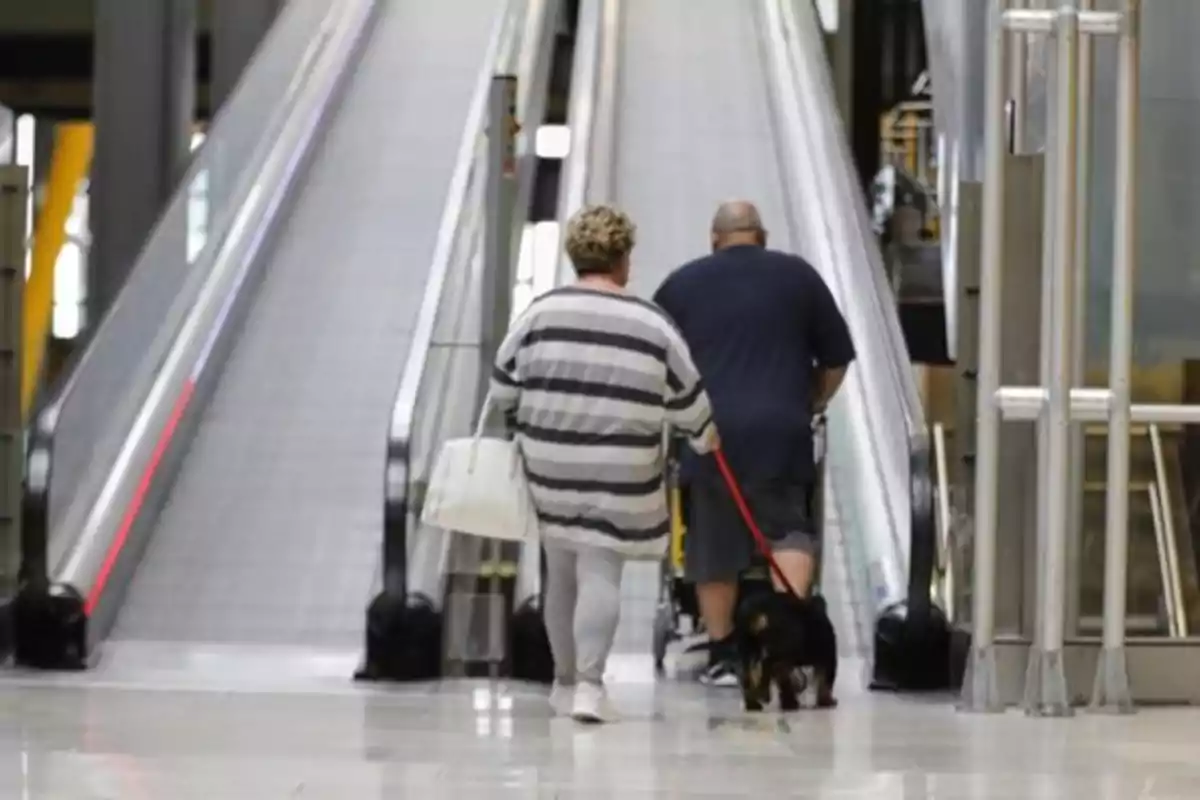 Dos personas caminan junto a un perro en un aeropuerto frente a una banda transportadora Dos personas caminan junto a un perro en un aeropuerto frente a una banda transportadora