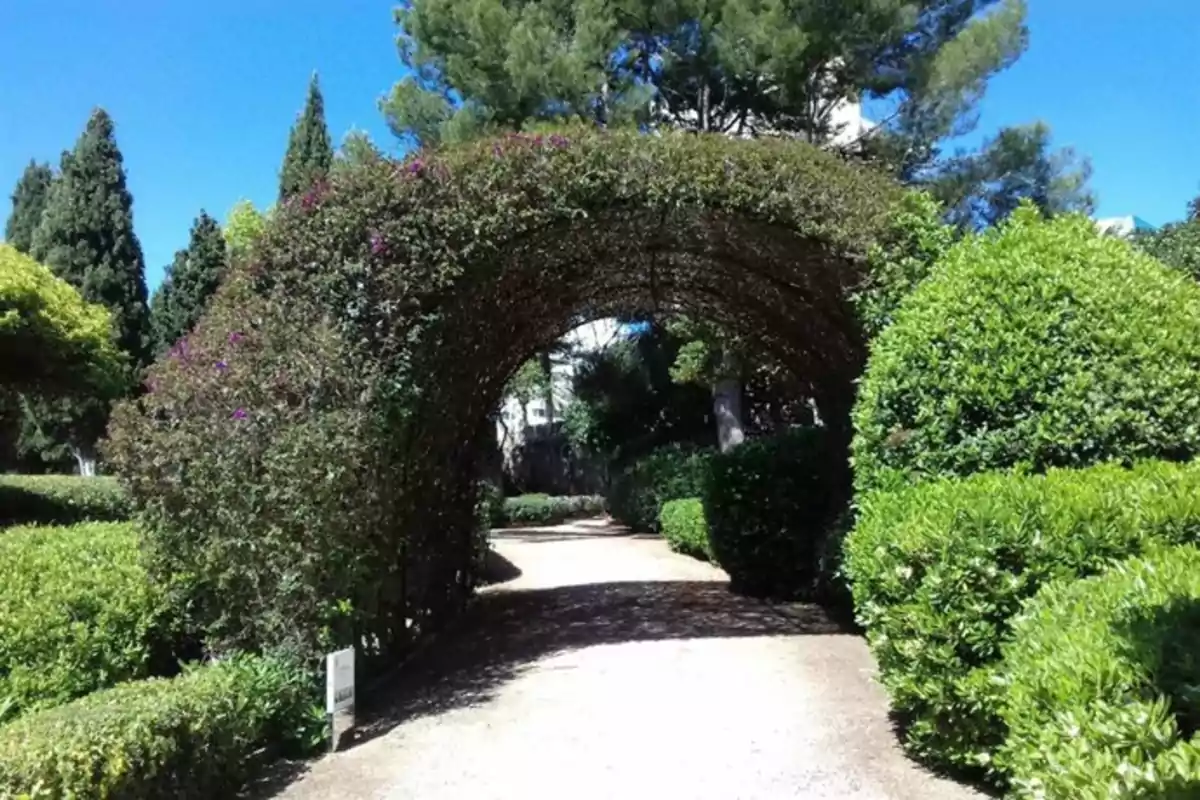 Camino de tierra rodeado de arbustos y árboles con un arco de plantas en un jardín bajo un cielo azul Camino de tierra rodeado de arbustos y árboles con un arco de plantas en un jardín bajo un cielo azul