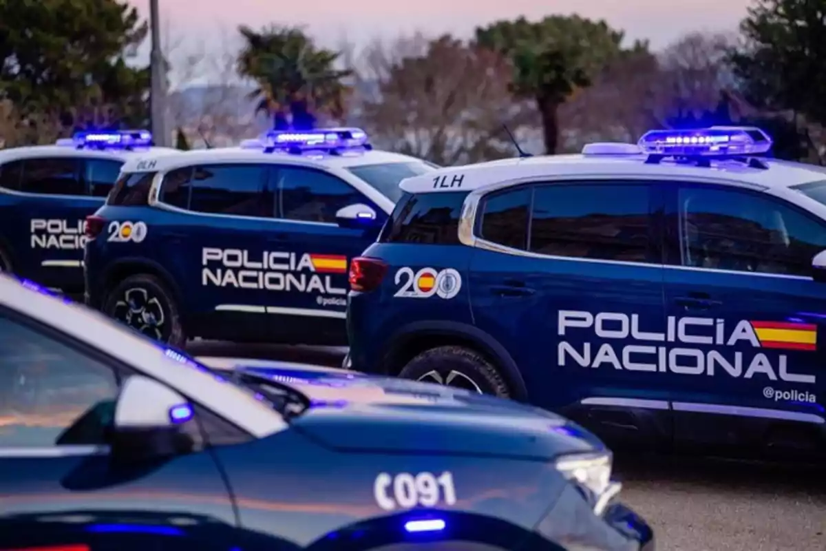 Varios coches de la Policía Nacional de España con luces encendidas estacionados al aire libre Varios coches de la Policía Nacional de España con luces encendidas estacionados al aire libre