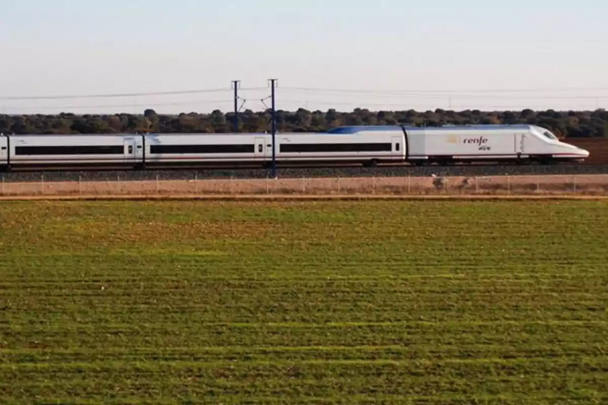 Tren de alta velocidad AVE circulando por una vía en medio del campo con vegetación y árboles al fondo Tren de alta velocidad AVE circulando por una vía en medio del campo con vegetación y árboles al fondo