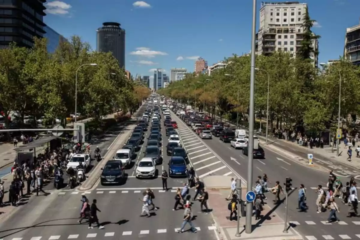 Avenida amplia con tráfico denso de autos y muchas personas cruzando por el paso peatonal en una ciudad moderna rodeada de árboles y edificios altos
