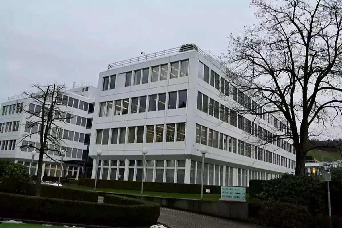 Edificio moderno de oficinas blancas con ventanas grandes rodeado de árboles sin hojas y arbustos en un día nublado Edificio moderno de oficinas blancas con ventanas grandes rodeado de árboles sin hojas y arbustos en un día nublado