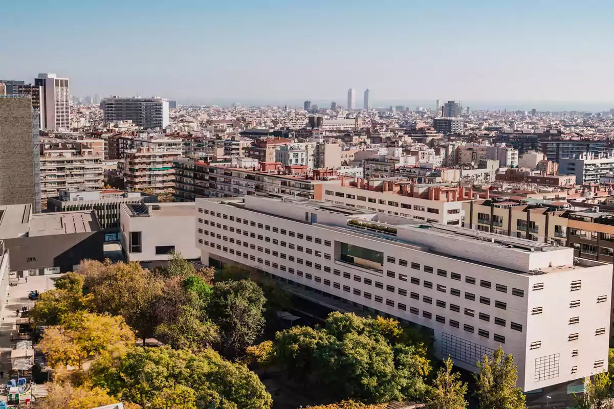 Vista panorámica de una ciudad con edificios modernos y árboles en primer plano bajo un cielo despejado Vista panorámica de una ciudad con edificios modernos y árboles en primer plano bajo un cielo despejado