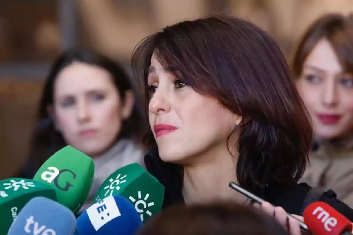 Mujer de cabello castaño oscuro responde preguntas de la prensa rodeada de varios micrófonos de diferentes medios de comunicación