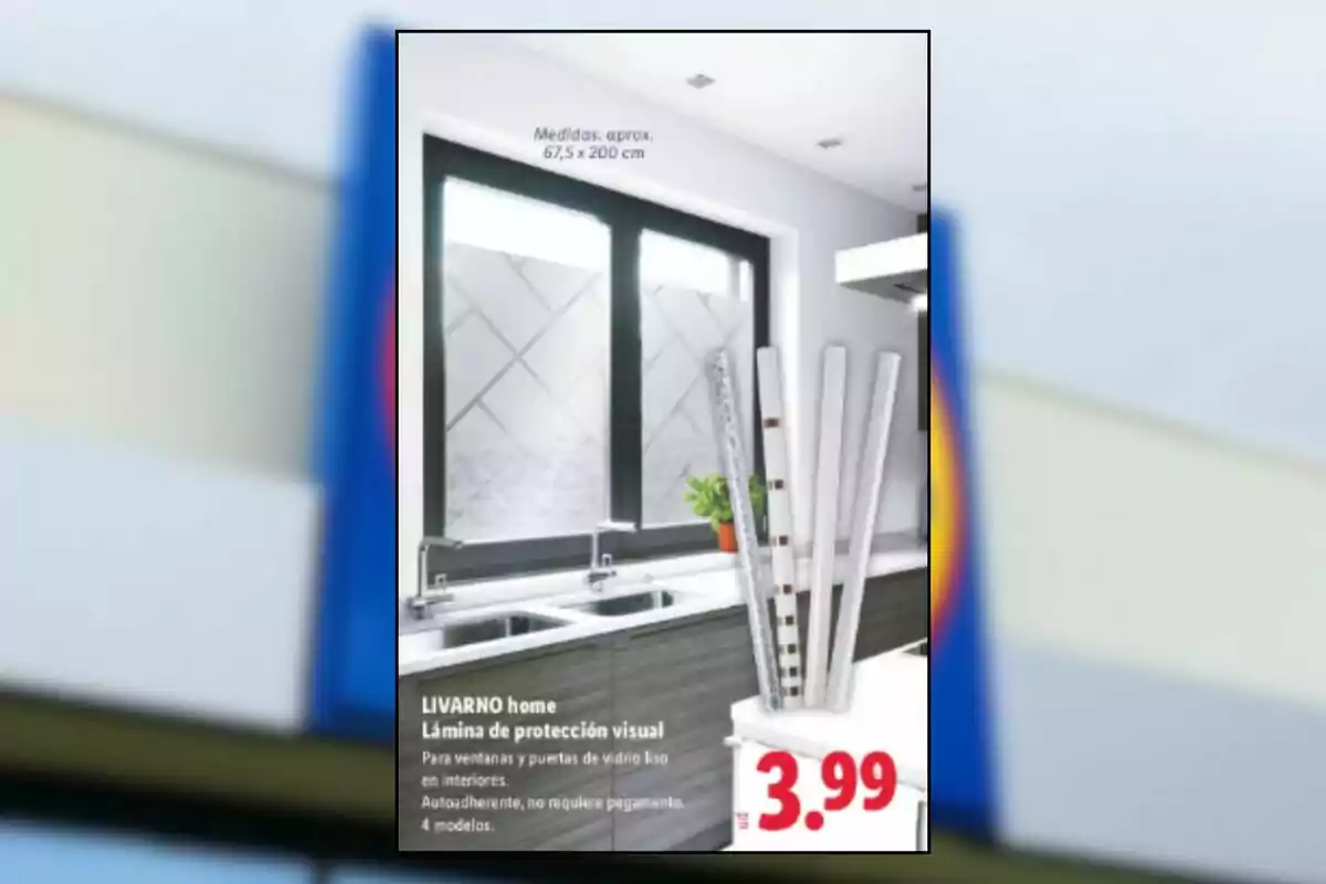 Promoción de láminas de protección visual autoadherentes para ventanas y puertas de vidrio liso en interiores, disponibles en cuatro modelos diferentes, con un precio de 3.99 euros Promoción de láminas de protección visual autoadherentes para ventanas y puertas de vidrio liso en interiores, disponibles en cuatro modelos diferentes, con un precio de 3.99 euros