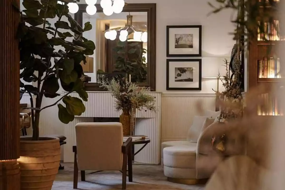 Sala elegante con sillones claros, plantas grandes, mesa de centro, cuadros en la pared y estantería con libros iluminados
