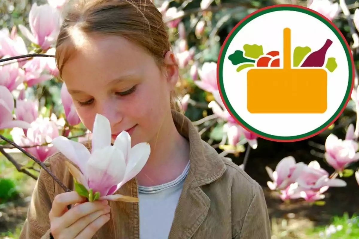 Niña oliendo una flor de magnolia con un fondo de flores rosadas y un gráfico de una canasta de alimentos en la esquina superior derecha Niña oliendo una flor de magnolia con un fondo de flores rosadas y un gráfico de una canasta de alimentos en la esquina superior derecha