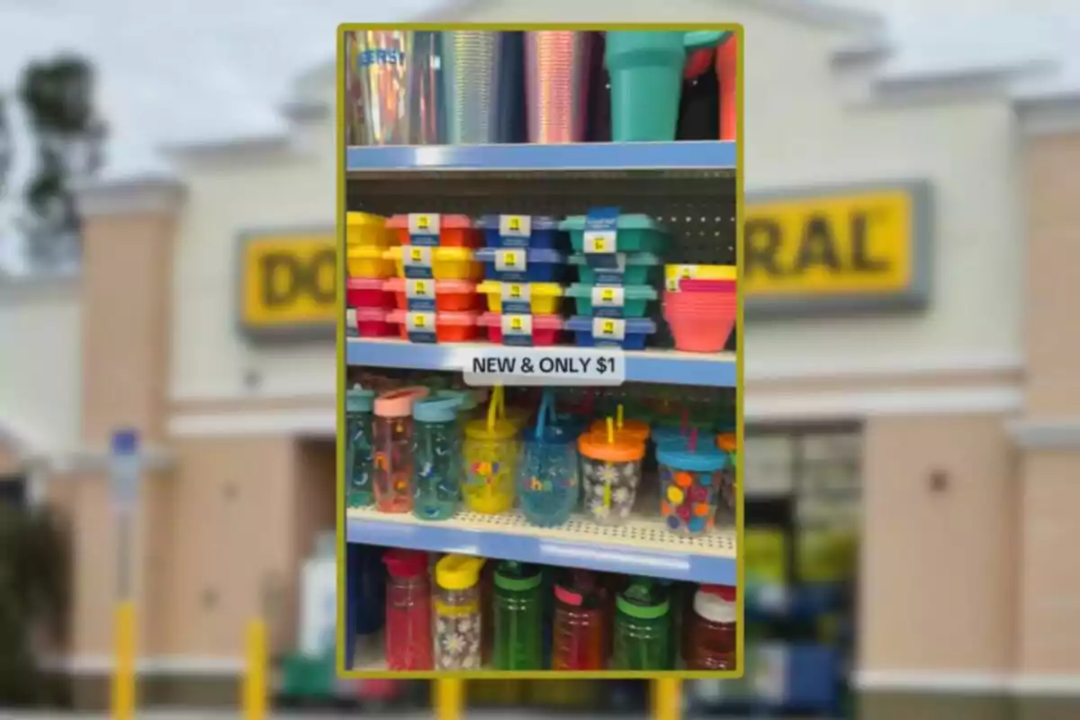 Store shelf with colorful containers and cups with lids and straws, all priced at one dollar; in the background, the blurred facade of a Dollar General store can be seen. Store shelf with colorful containers and cups with lids and straws, all priced at one dollar; in the background, the blurred facade of a Dollar General store can be seen.