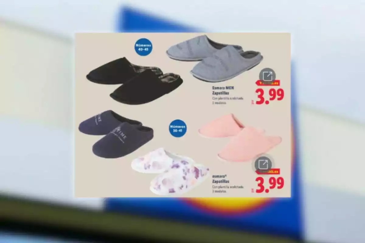 Oferta de zapatillas para hombre y mujer en diferentes colores y tallas con precio de 3,99 euros Oferta de zapatillas para hombre y mujer en diferentes colores y tallas con precio de 3,99 euros