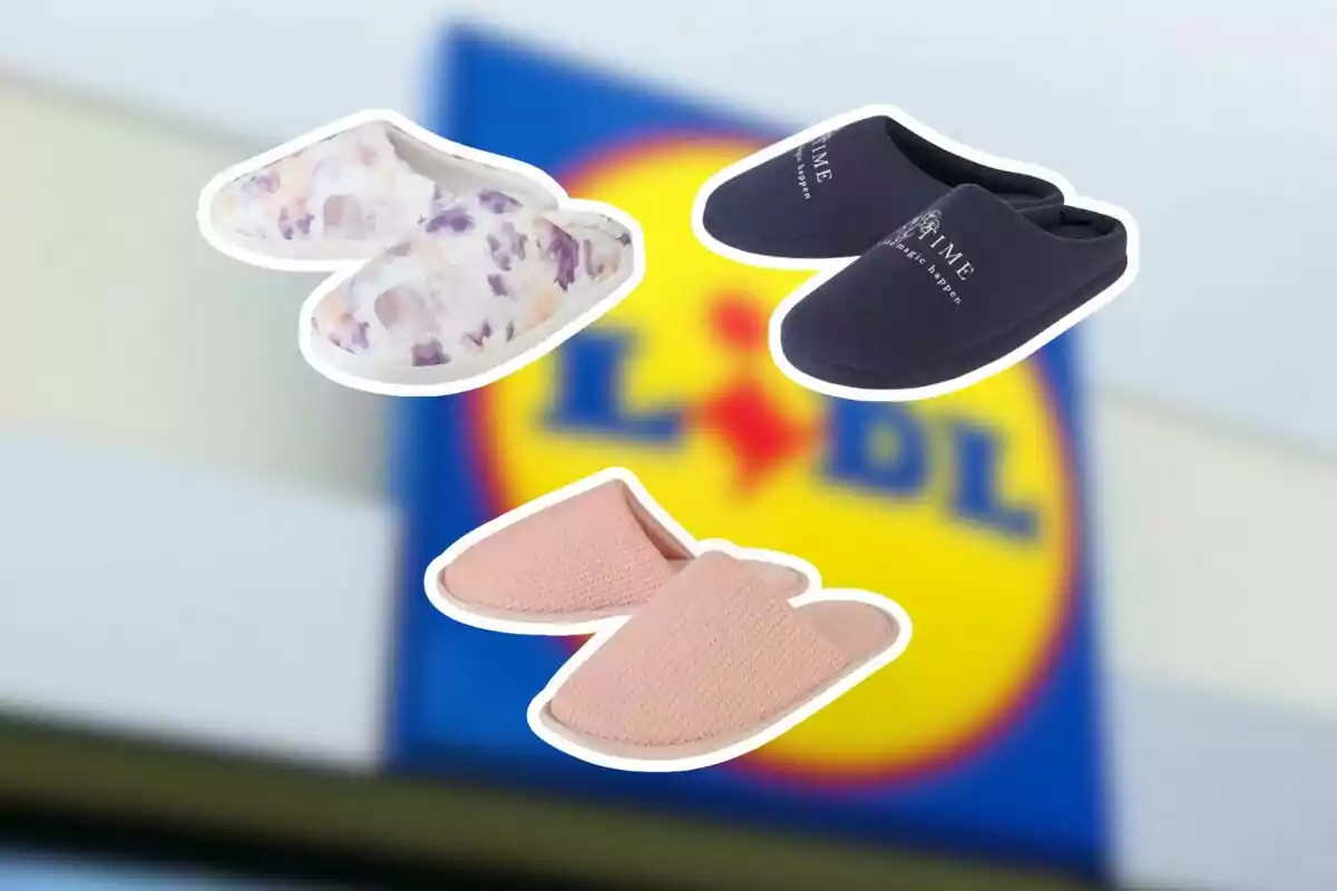 Tres pares de pantuflas de diferentes colores y estilos sobre un fondo desenfocado con el logo de Lidl. Tres pares de pantuflas de diferentes colores y estilos sobre un fondo desenfocado con el logo de Lidl.