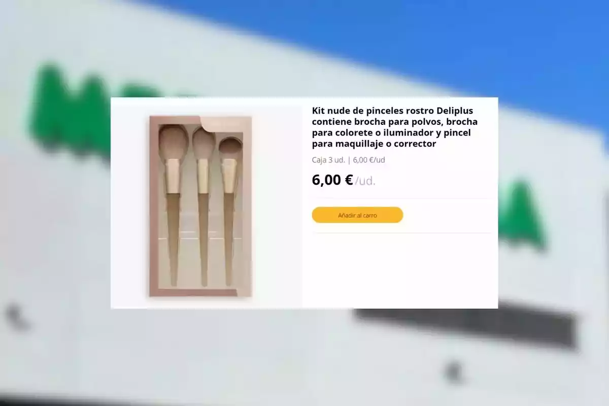 Kit de tres pinceles de maquillaje Deliplus en tonos nude con descripción y precio de 6 euros en una tienda online Kit de tres pinceles de maquillaje Deliplus en tonos nude con descripción y precio de 6 euros en una tienda online