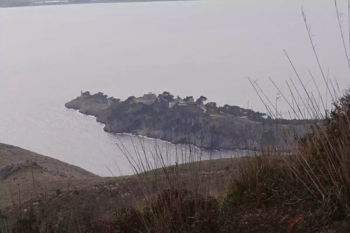 Vista de una península rocosa cubierta de vegetación y rodeada por el mar, observada desde una colina con pasto seco en primer plano Vista de una península rocosa cubierta de vegetación y rodeada por el mar, observada desde una colina con pasto seco en primer plano