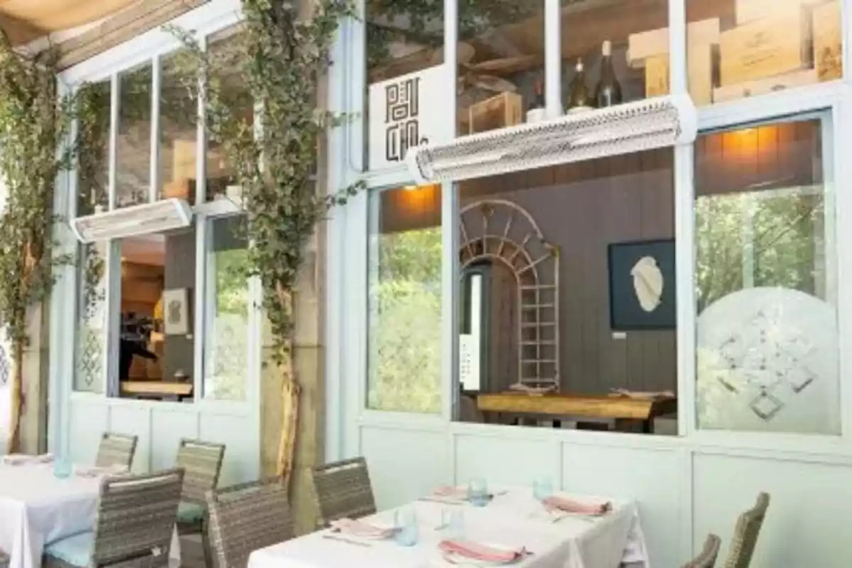 Terraza de restaurante elegante con mesas vestidas de manteles blancos, sillas de mimbre y decoración con plantas trepadoras en las paredes y ventanas grandes