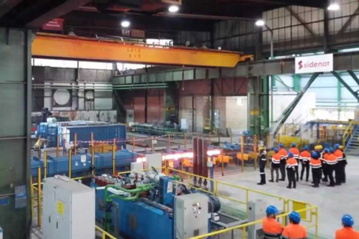 Grupo de personas con cascos y chalecos de seguridad observando maquinaria industrial en el interior de una fábrica