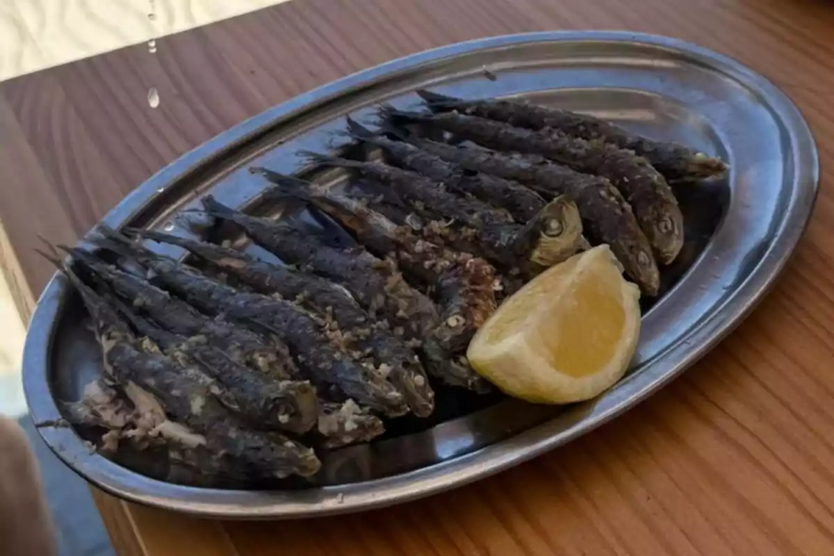 Un plato de sardinas asadas servidas en una bandeja metálica junto a un trozo de limón Un plato de sardinas asadas servidas en una bandeja metálica junto a un trozo de limón
