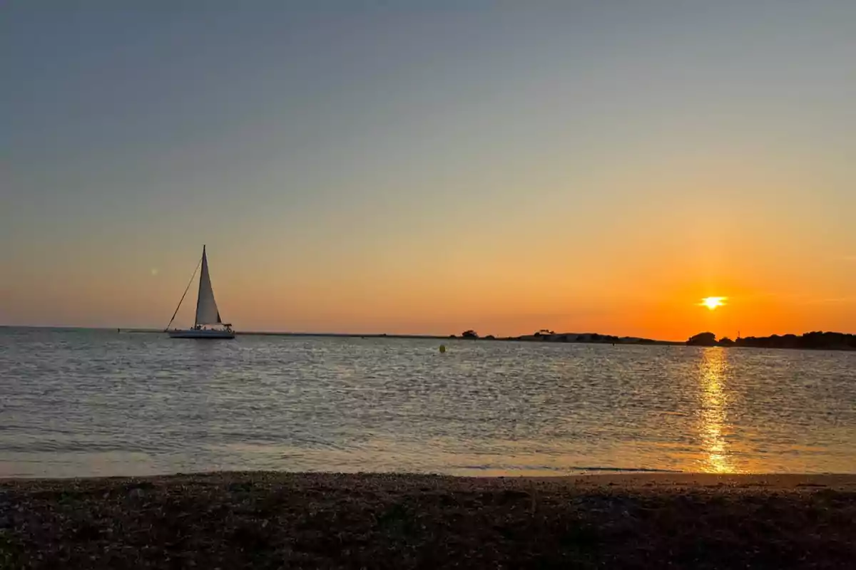 Velero navegando en el mar durante un atardecer con el sol reflejándose en el agua y la costa al fondo