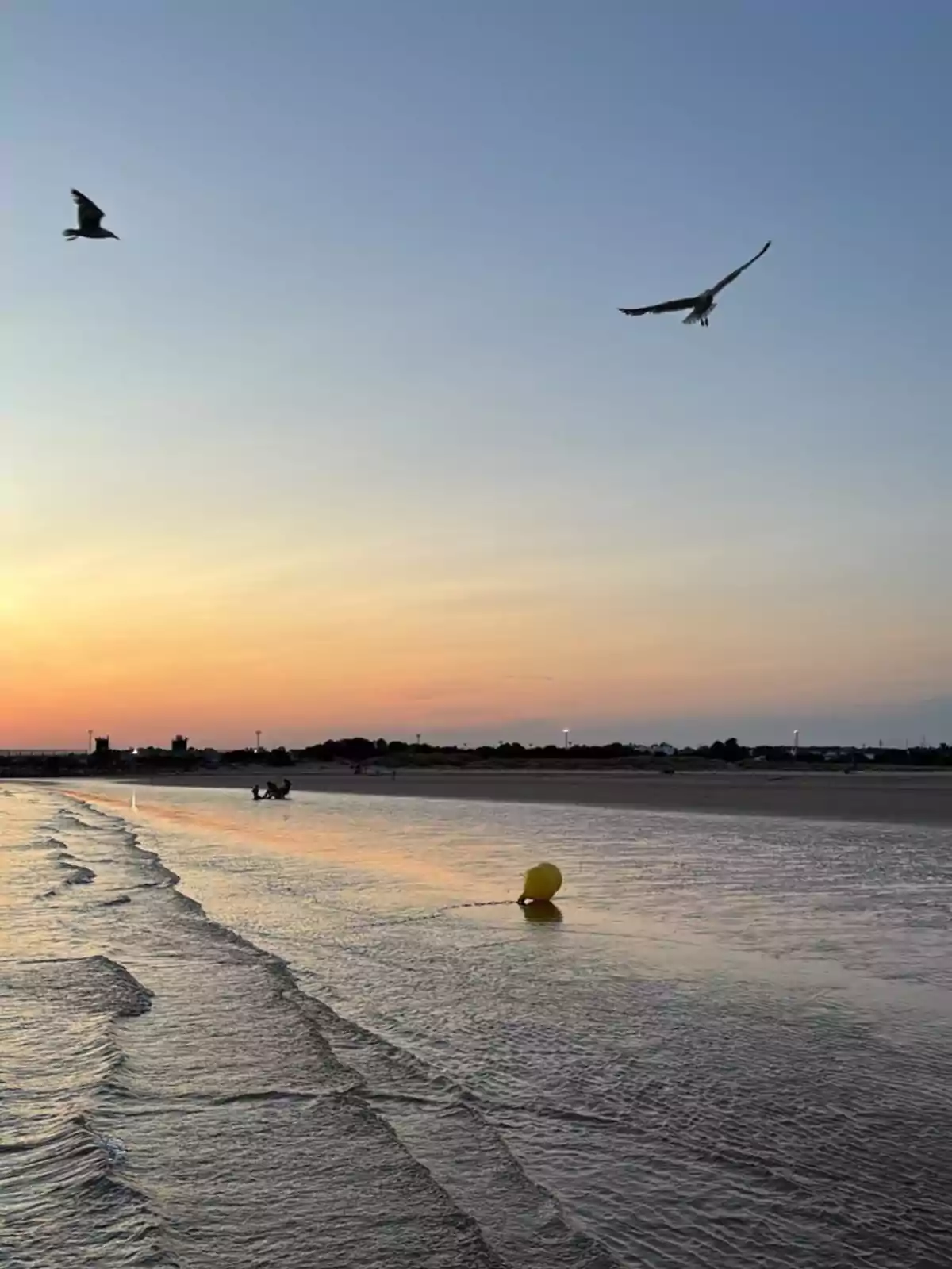 Playa al atardecer con dos gaviotas volando, una boya amarilla flotando en el agua y el cielo teñido de tonos cálidos. Playa al atardecer con dos gaviotas volando, una boya amarilla flotando en el agua y el cielo teñido de tonos cálidos.