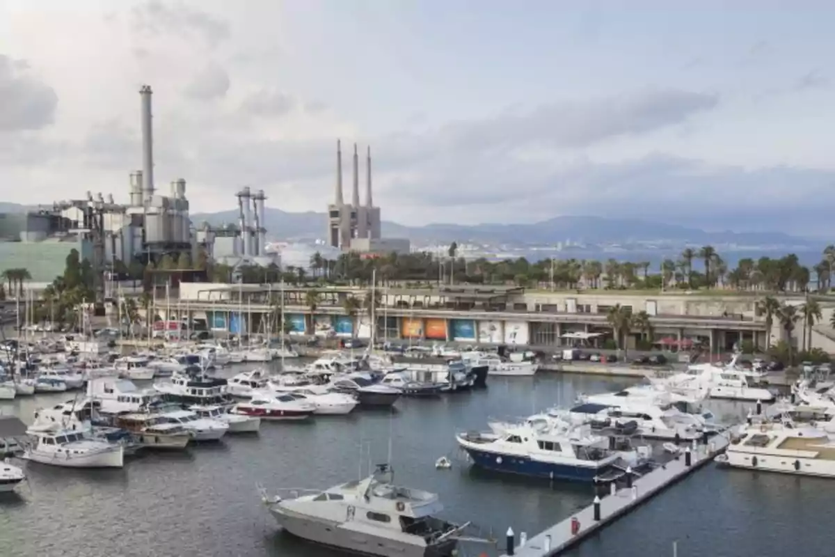 Puerto deportivo con numerosos yates y barcos atracados, al fondo se observan palmeras, edificios industriales y montañas bajo un cielo parcialmente nublado Puerto deportivo con numerosos yates y barcos atracados, al fondo se observan palmeras, edificios industriales y montañas bajo un cielo parcialmente nublado