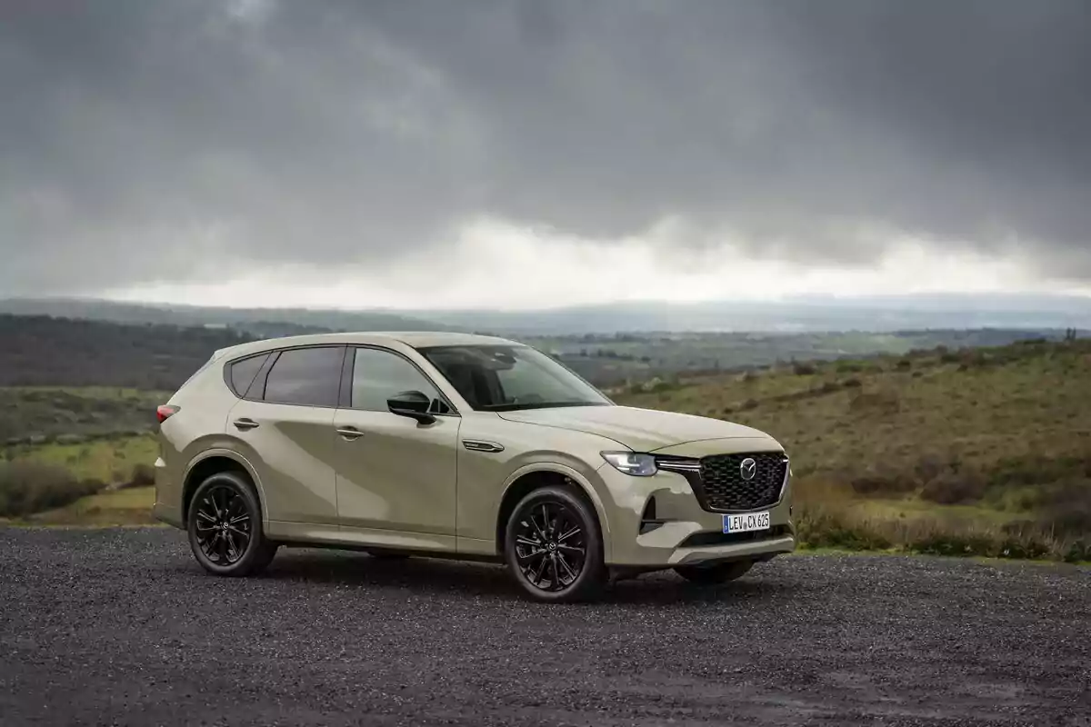 SUV color beige estacionada sobre un camino de grava con un paisaje de campo y cielo nublado al fondo