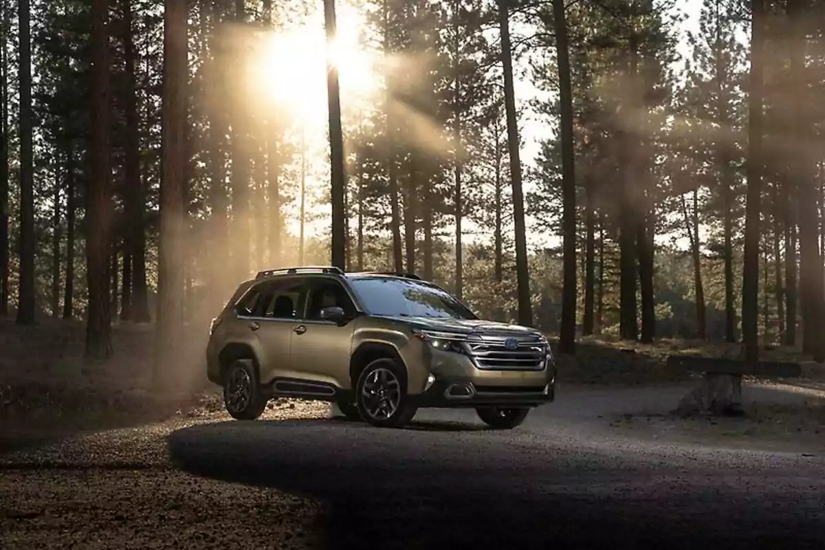 Una SUV color dorado estacionada en un bosque con la luz del sol filtrándose entre los árboles