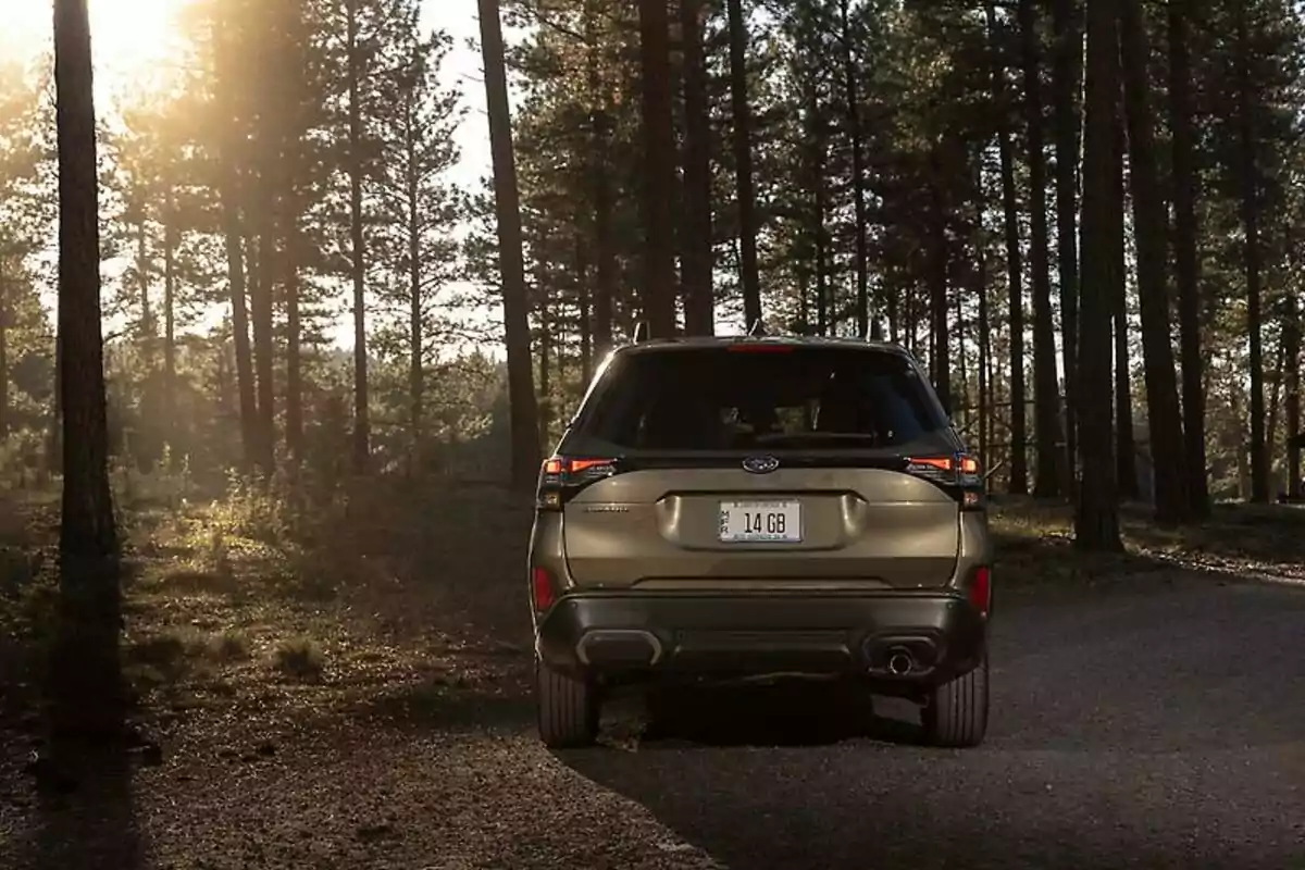 Un SUV color verde visto desde atrás estacionado en un camino de tierra rodeado de árboles con luz de sol filtrándose entre el bosque