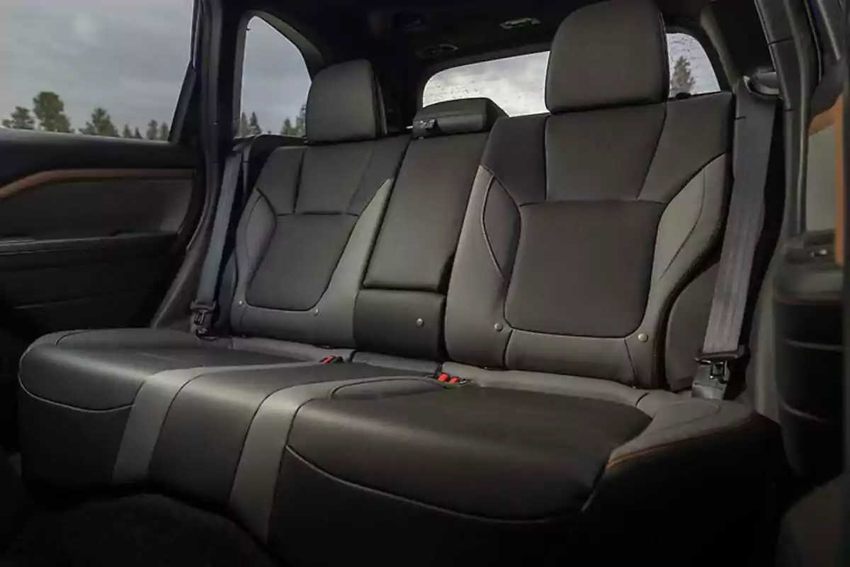 Asiento trasero de un automóvil con tapicería de cuero negro y cinturones de seguridad visibles