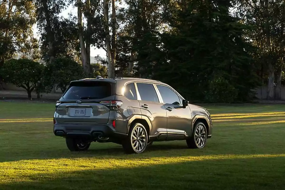 Una camioneta SUV gris estacionada sobre césped con árboles al fondo en un ambiente natural y soleado