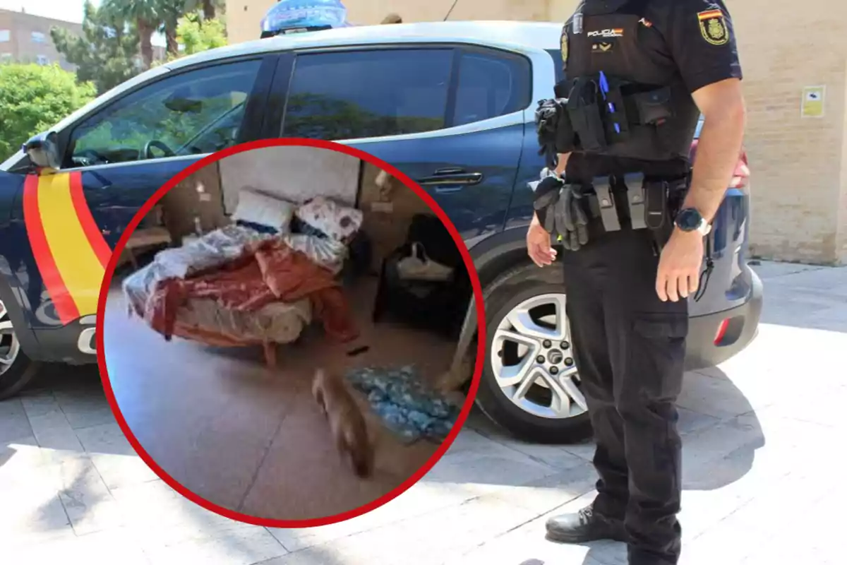 Un policía de pie junto a un coche patrulla con un círculo que muestra una habitación desordenada y un perro pequeño en el suelo