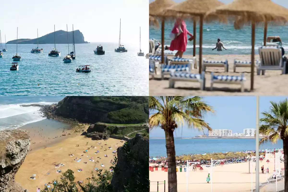 Collage de cuatro imágenes mostrando diferentes playas, con barcos en el mar, sombrillas de paja, personas disfrutando la arena y el mar, y palmeras en primer plano