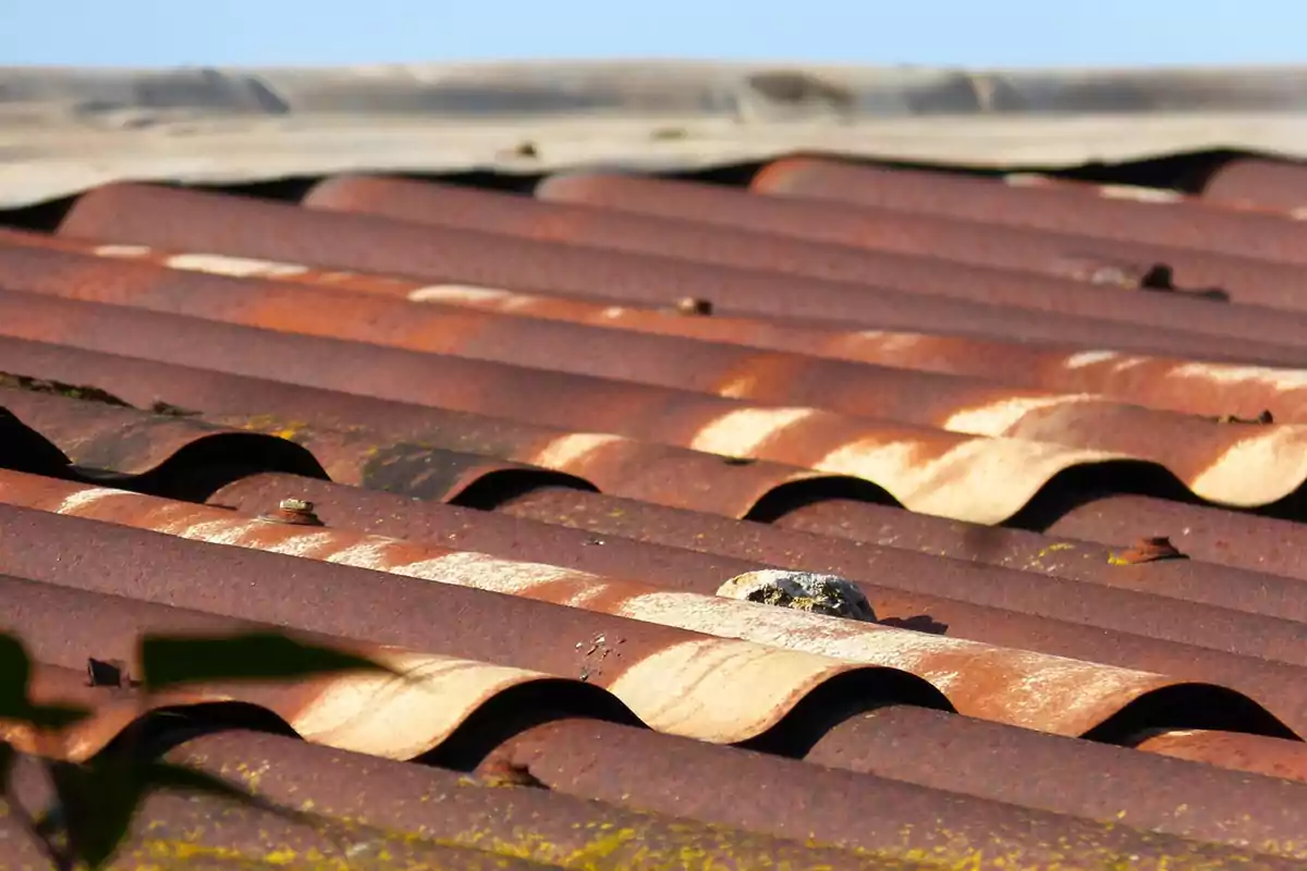 Tejas onduladas de metal oxidadas en el techo de una construcción bajo la luz del sol