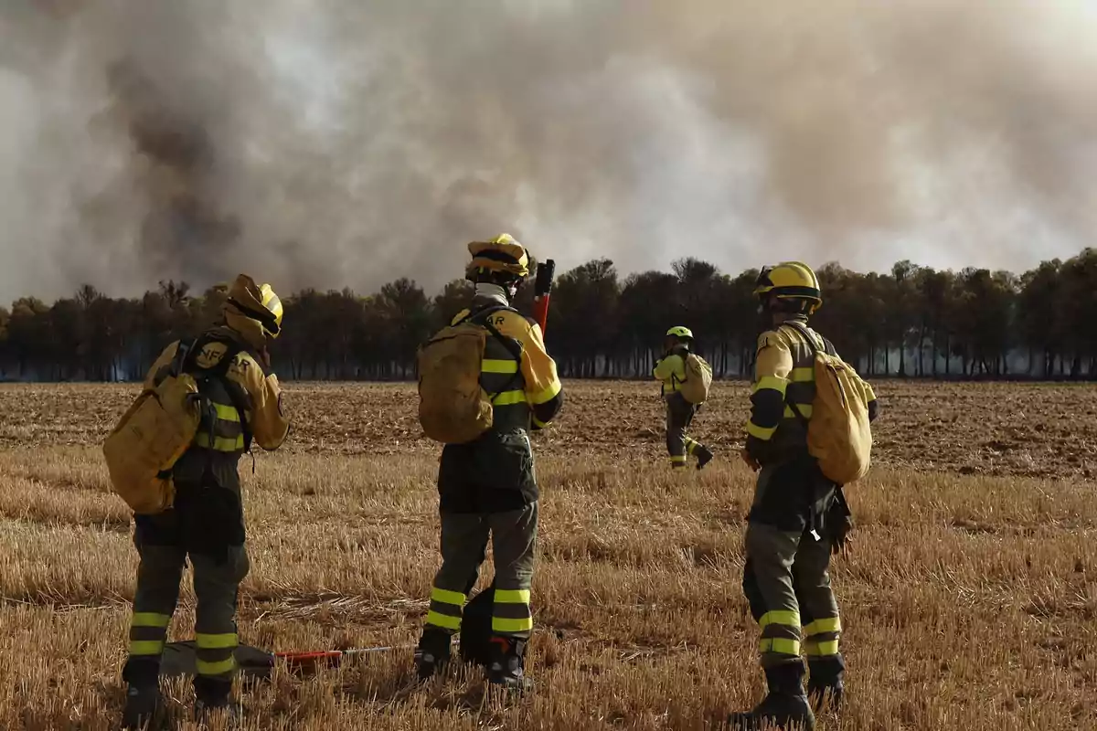 Cuatro bomberos forestales con equipo de protección observan un incendio en un campo seco mientras una densa columna de humo se eleva al fondo cerca de una zona de árboles