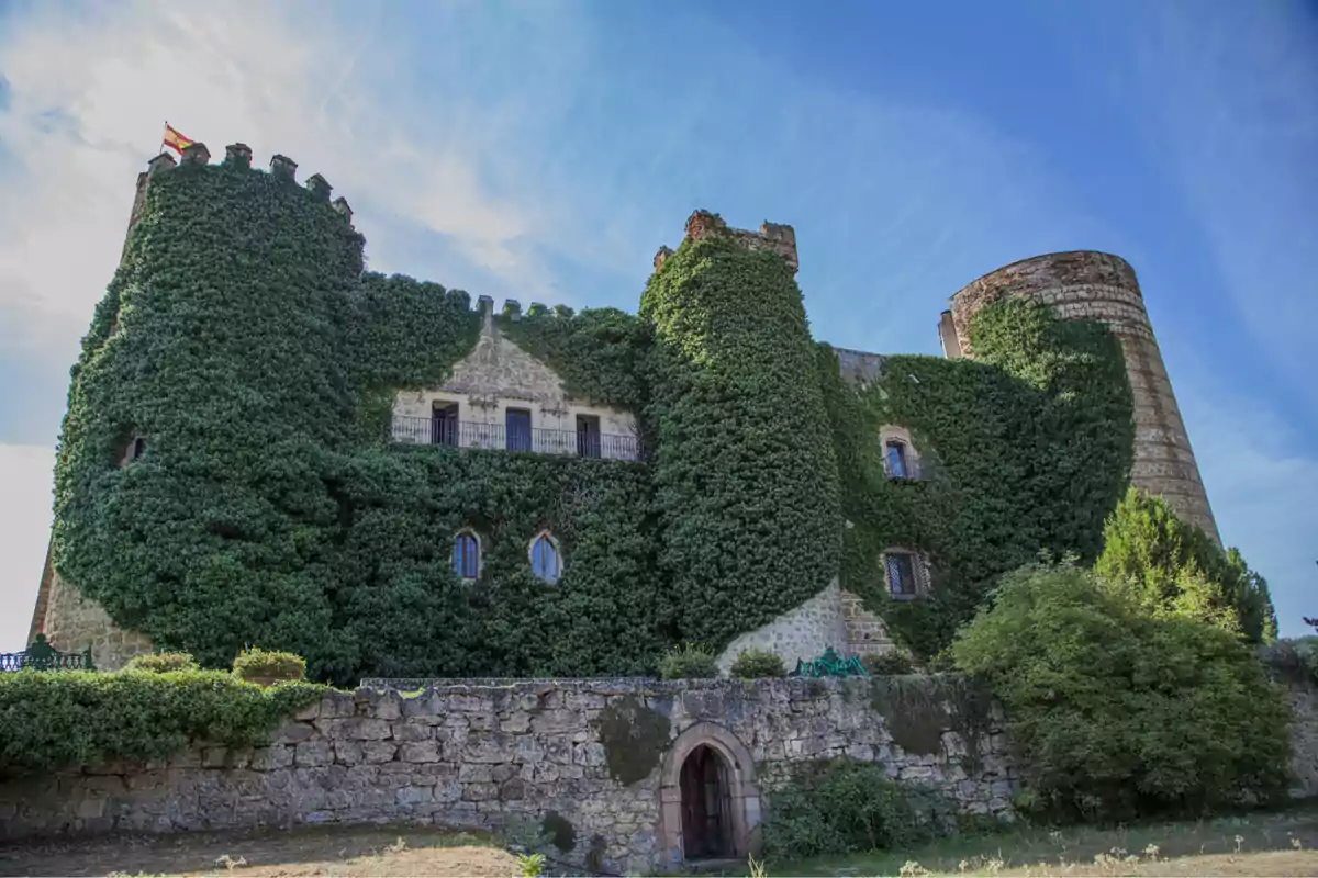 Castillo antiguo cubierto de hiedra con una torre redonda y una bandera ondeando en la parte superior bajo un cielo azul Castillo antiguo cubierto de hiedra con una torre redonda y una bandera ondeando en la parte superior bajo un cielo azul
