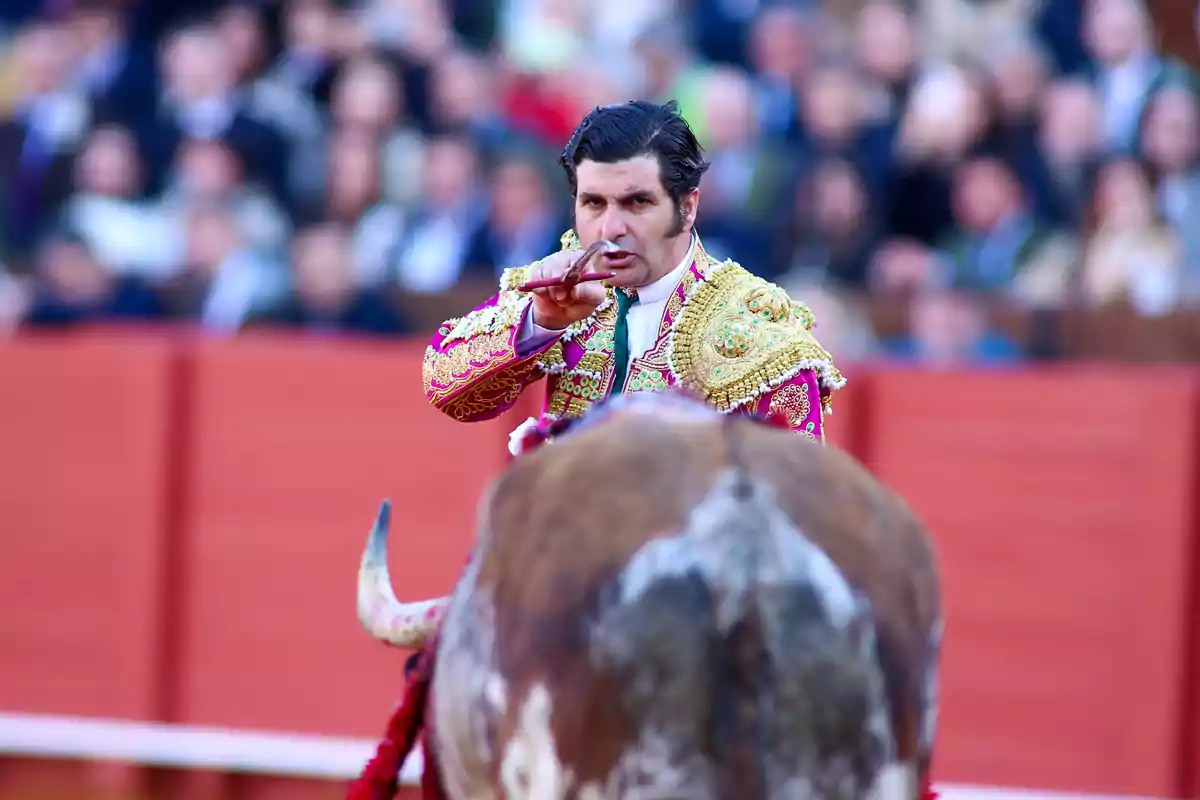 Un torero vestido de traje tradicional se enfrenta a un toro en una plaza llena de espectadores Un torero vestido de traje tradicional se enfrenta a un toro en una plaza llena de espectadores