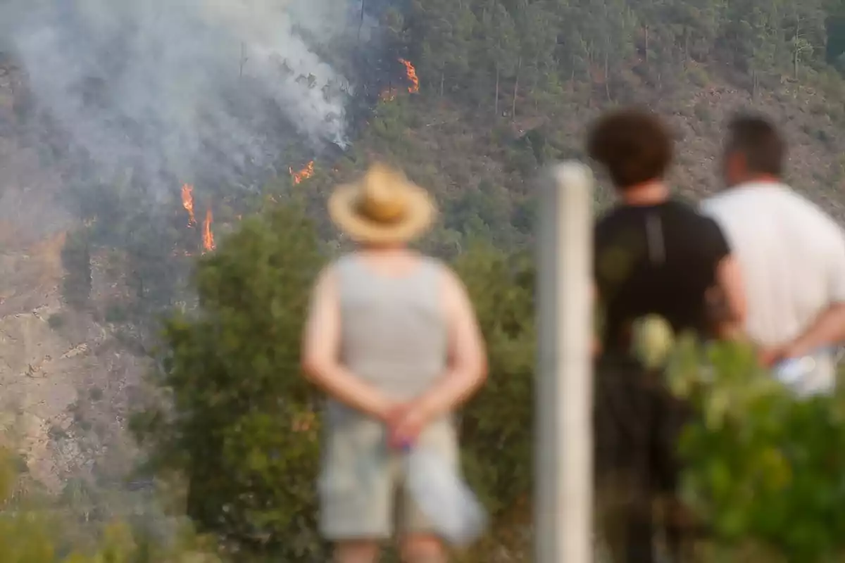 Tres personas observan a lo lejos un incendio forestal en una ladera cubierta de árboles y humo Tres personas observan a lo lejos un incendio forestal en una ladera cubierta de árboles y humo