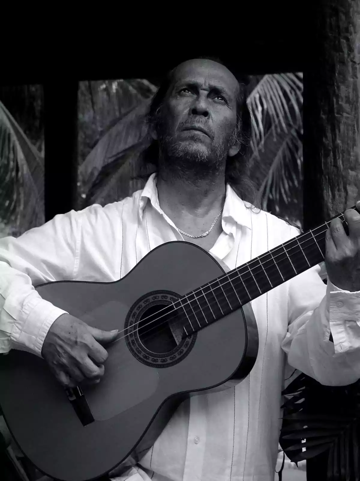 Hombre de cabello largo y barba tocando una guitarra clásica mientras mira hacia arriba con expresión seria, vestido con camisa blanca y fondo de hojas de palma Hombre de cabello largo y barba tocando una guitarra clásica mientras mira hacia arriba con expresión seria, vestido con camisa blanca y fondo de hojas de palma