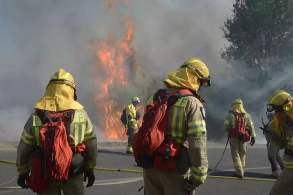 Varios bomberos con equipo de protección trabajan para controlar un incendio forestal junto a una carretera Varios bomberos con equipo de protección trabajan para controlar un incendio forestal junto a una carretera